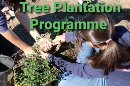 Tree Plantation Programme Notice