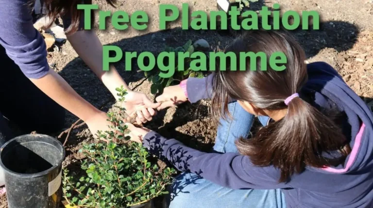 Tree Plantation Programme Notice