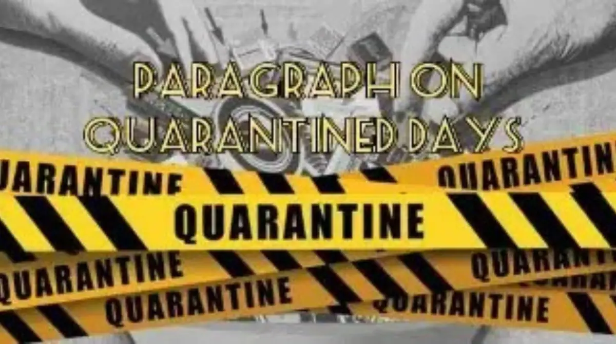 Paragraph Your Quarantine Experience in Lockdown