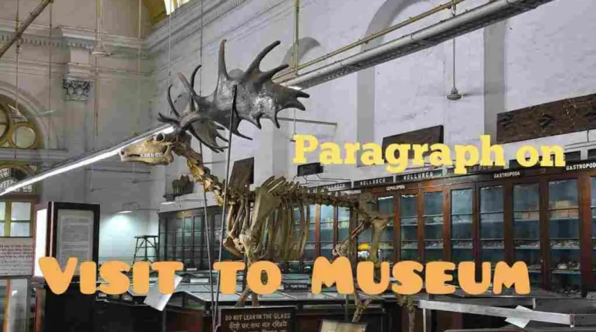 Paragraph on A Visit to Museum