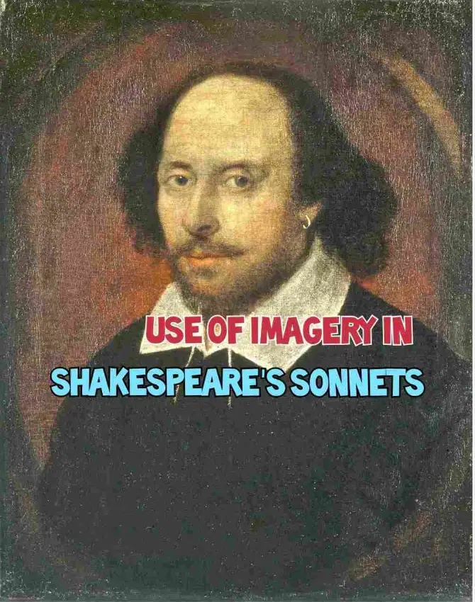 Use of Imagery in Shakespeare's Sonnets