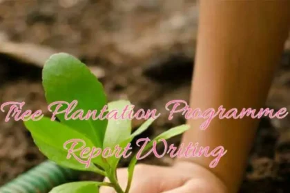 Report Writing on Tree Plantation