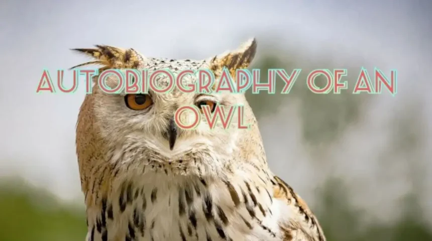 Autobiography of An Owl Enjoying The Night Paragraph
