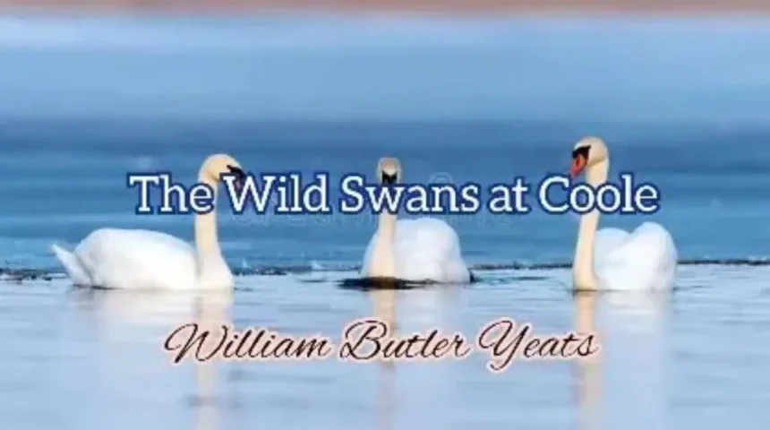 The Wild Swans at Coole Summary Questions Answers