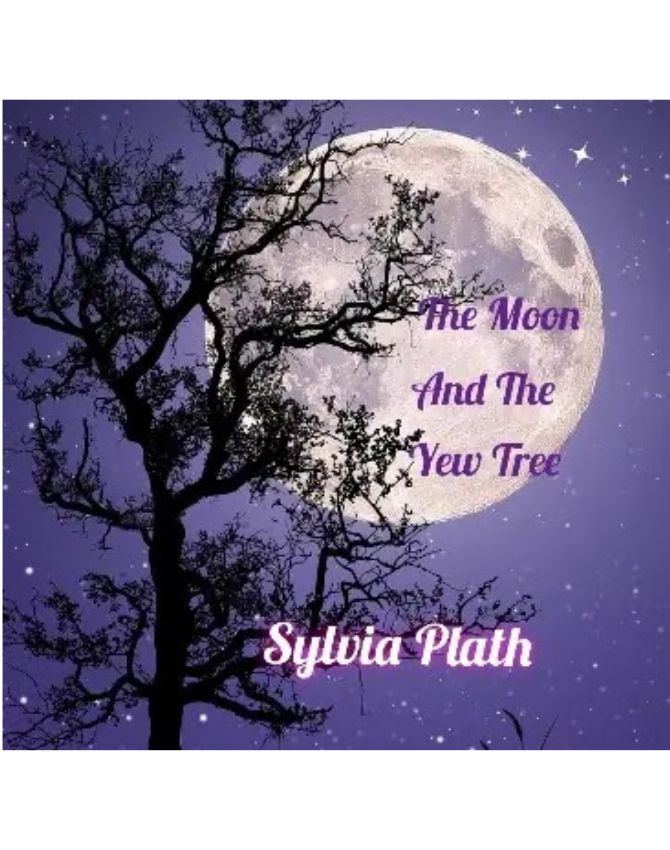 The Moon and the Yew Tree Summary Analysis