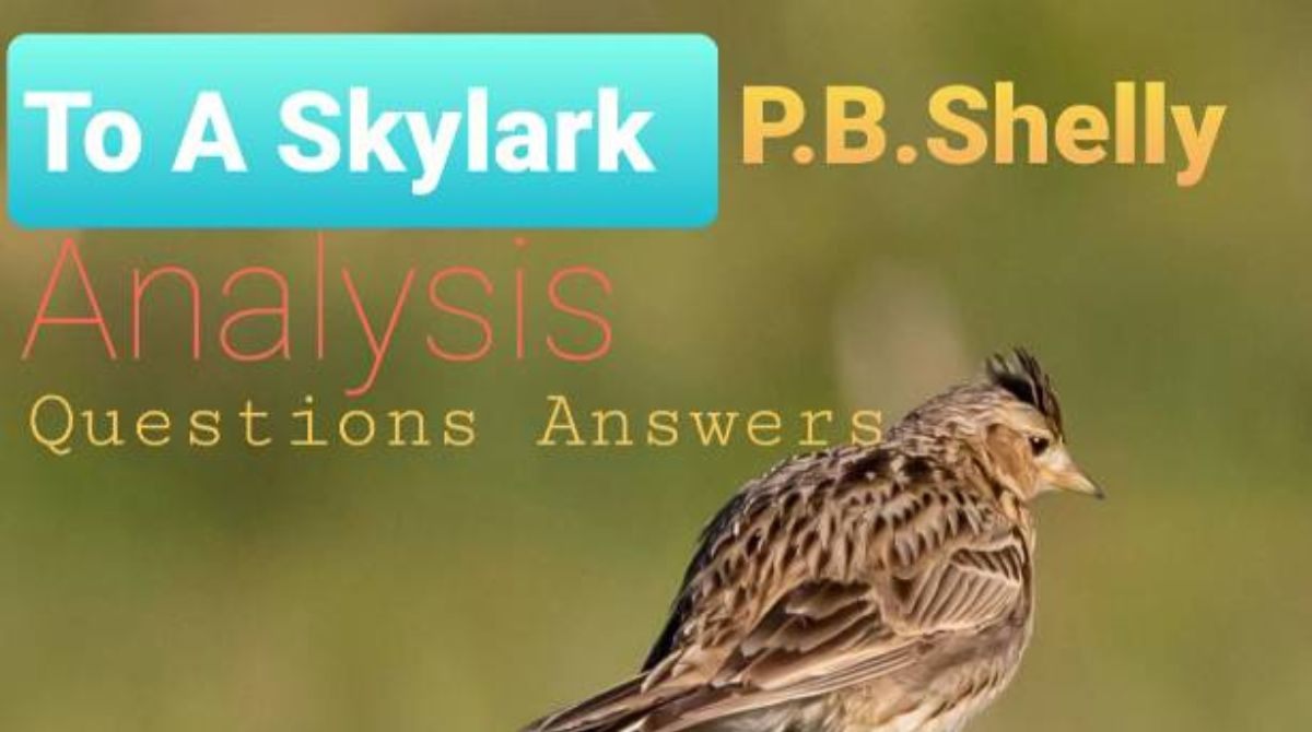 To A Skylark Poem Analysis Questions Answers