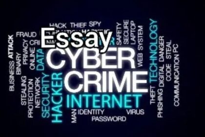 Essay on Cyber Crime