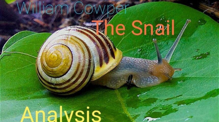 The Snail Poem Questions Answers