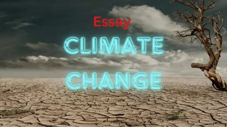 Climate Change Essay