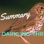 The Darkling Thrush Summary Questions Answers