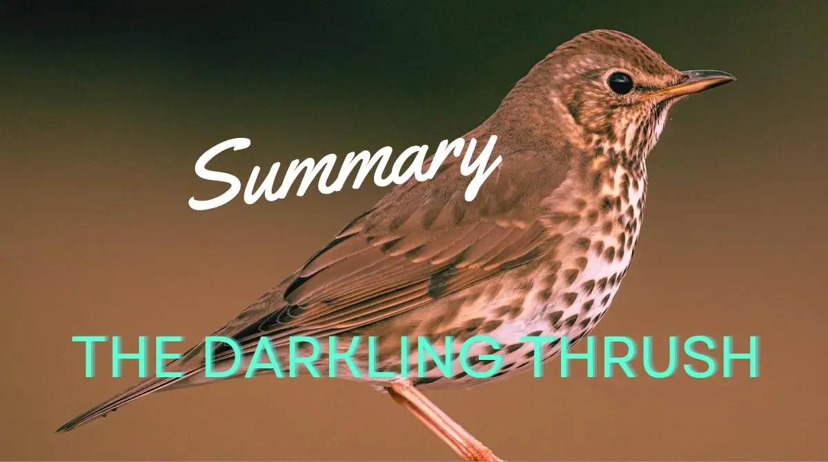 The Darkling Thrush Summary Questions Answers